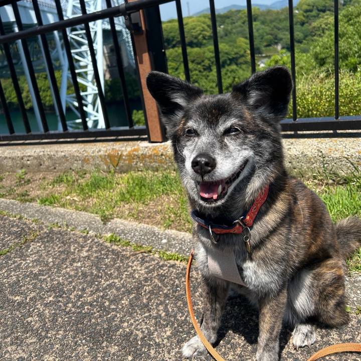 Fed2bc53 784d 402a b9fb c542f2f67ae6 1715074474329