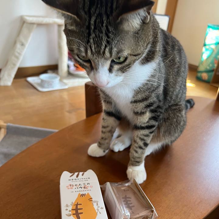 Fed313ab f638 4738 8ad7 8f7724a0f90e 1719036767073