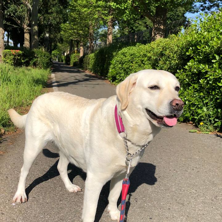 Fed3155c 9861 46a1 9982 b761891ef7a6 1618185259348