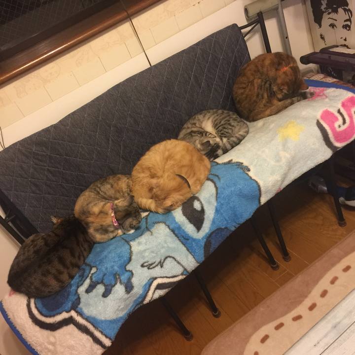 Fed32a09 765b 4e20 a58f b12ce2a299b3 1556450282146