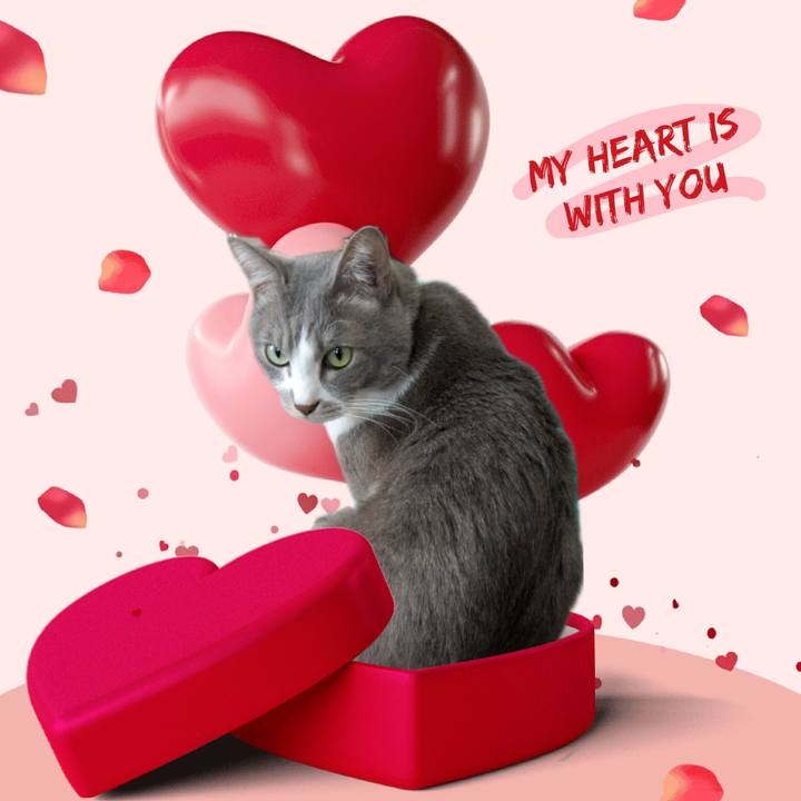 Fed3db71 5fb5 4ab8 baac a60f85dcfbf0 1739501704061