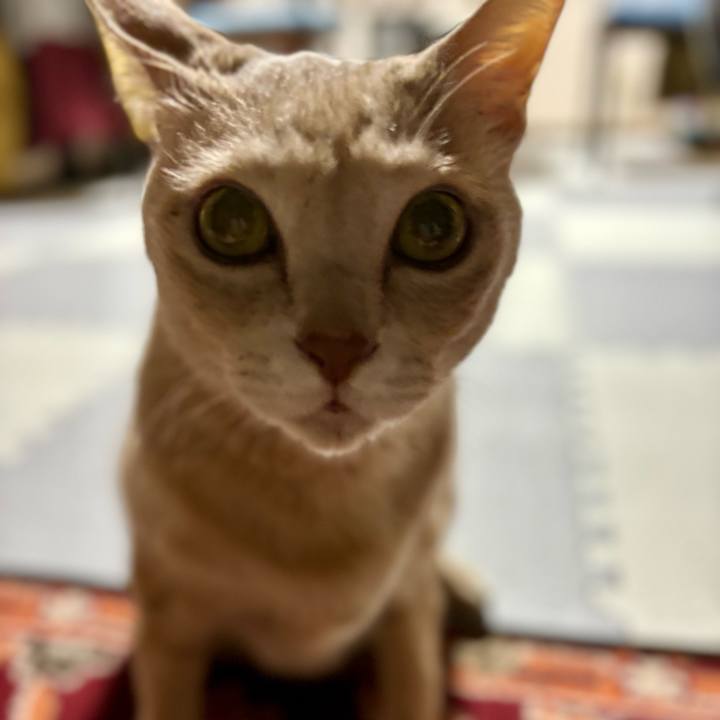 Fed3e588 c92c 4ba1 83e1 987058a87329 1704114193604