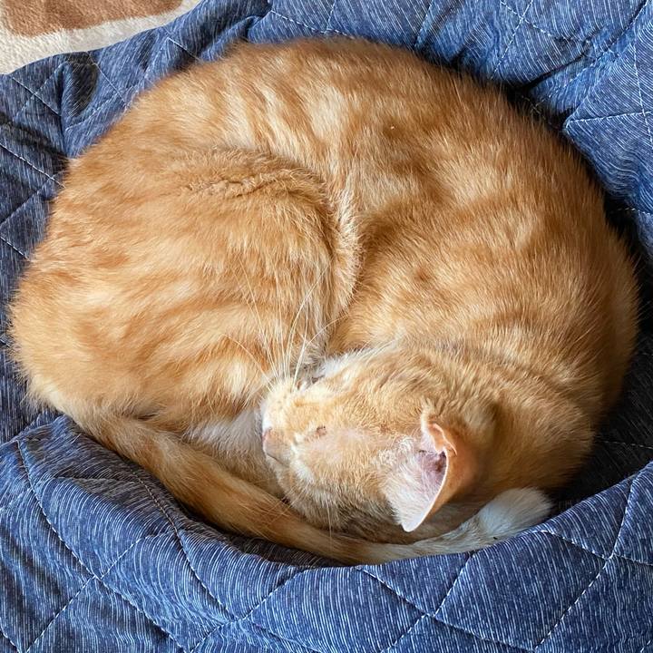 Fed3ef80 79e2 430f 99d7 9a4bfe78abd7 1576302824169