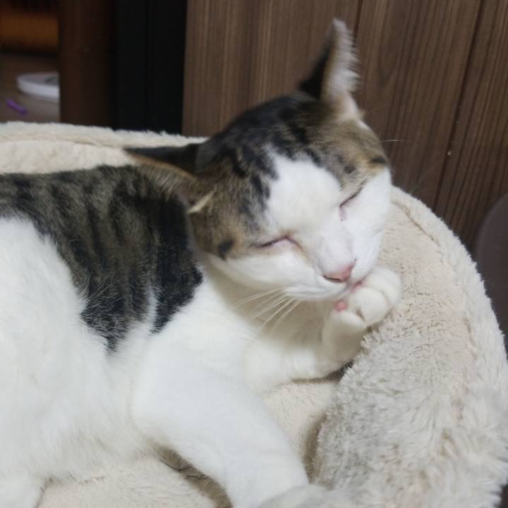 Fed4010c 5c1e 4b58 bb13 c9f42357fceb 1573132797584