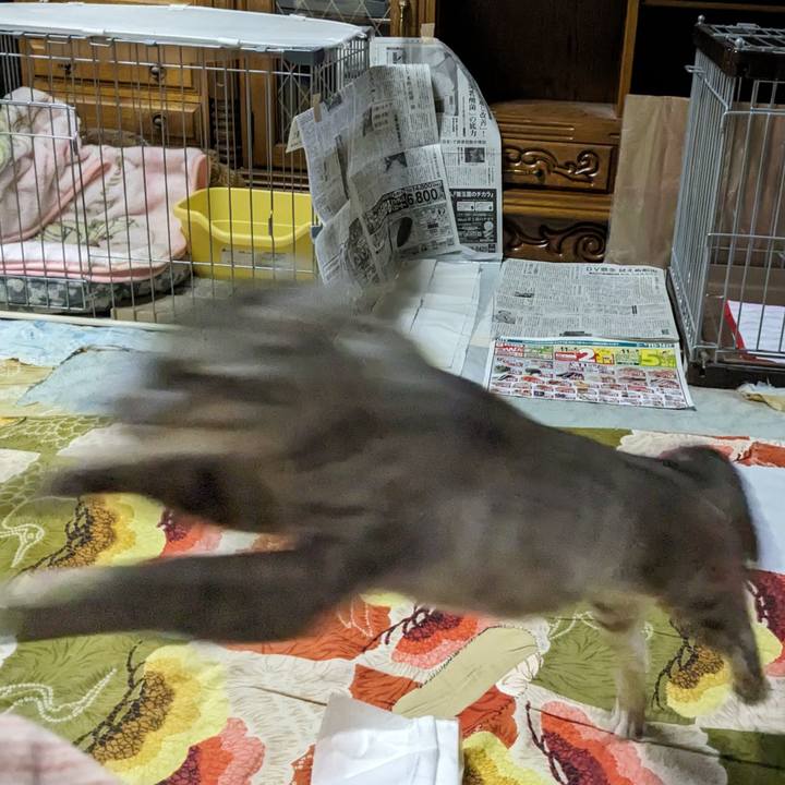 Fed42252 64a9 43d8 9941 9096c6088dd6 1716733980242