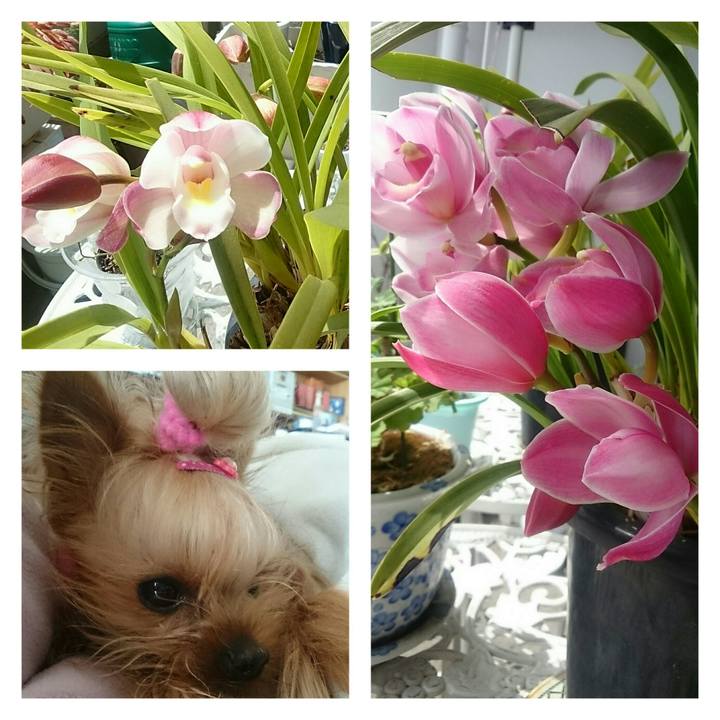 Fed42f95 abb1 4dd0 8ada 18cd87d9d1e3 1524115343416