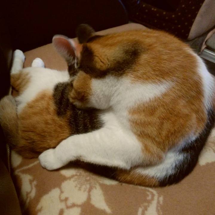 Fed43fb8 0e25 4828 9e53 2c5b53b386e8 1595506636644