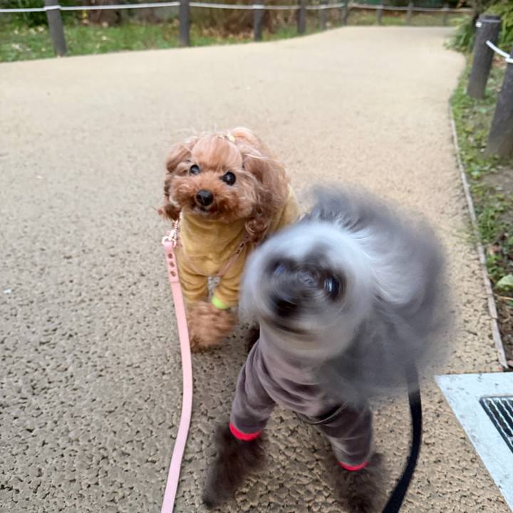 Fed46169 445f 43af a238 9eeb5066cfc7 1768692478120