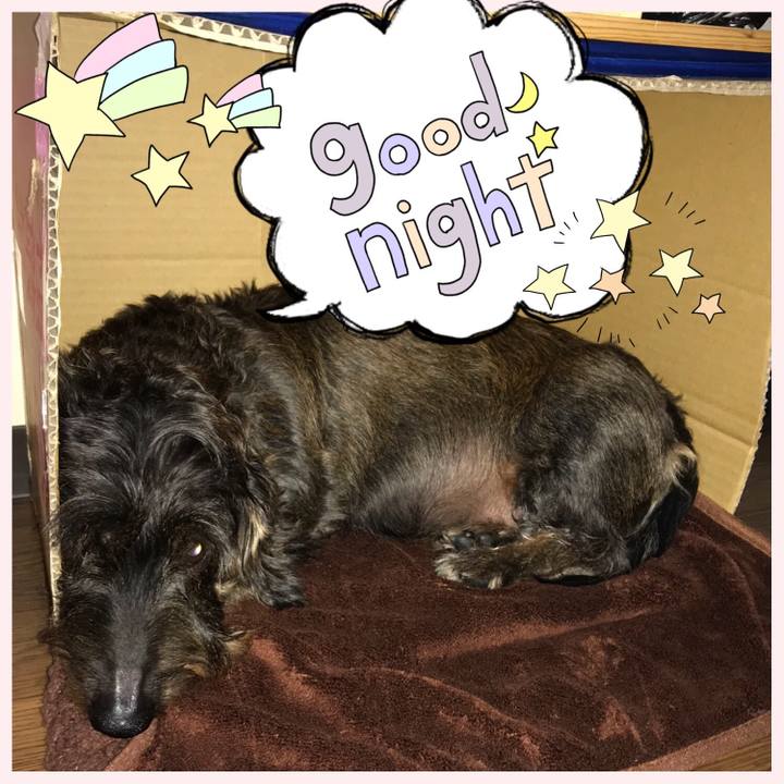 Fed49c82 5e69 4b0d 85e8 83afb6019c75 1509118610807