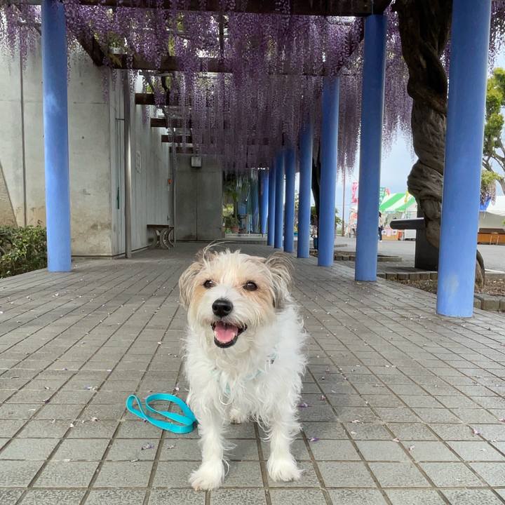 Fed4e19e 655b 40bc 8444 2fc877c38a80 1777070917795