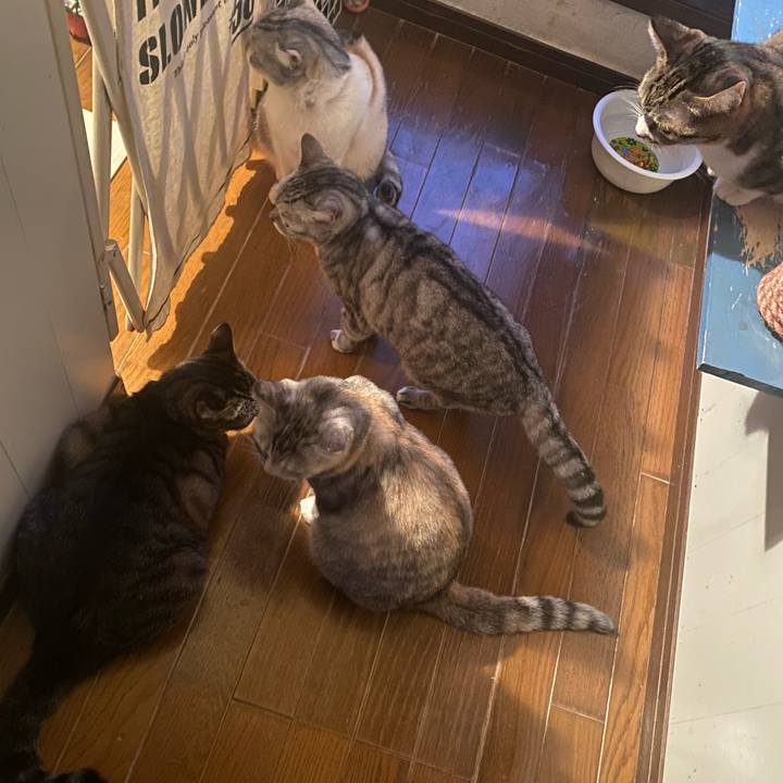 Fed4e40a 1dd7 4fe2 a617 8af3e4d2acbc 1636237274691