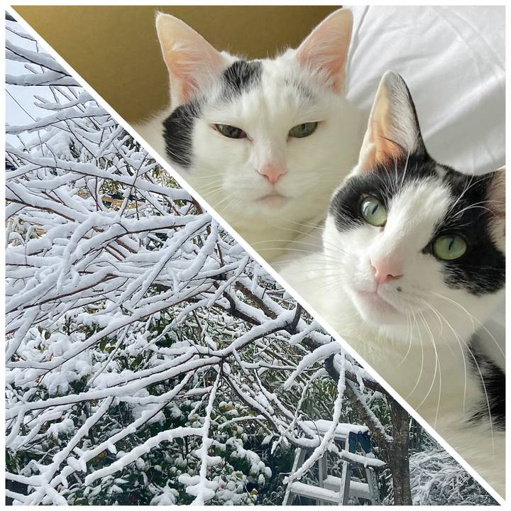 Fed4f205 124c 440c 817d 6ed73320a9c4 1709687523061