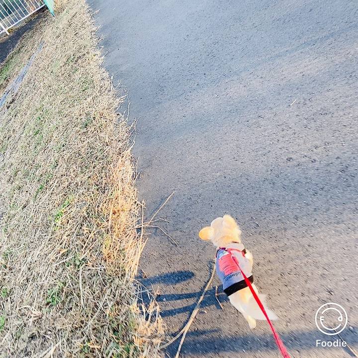 Fed5060f 06fa 4b82 bcb9 5bde7cc98422 1607081351008