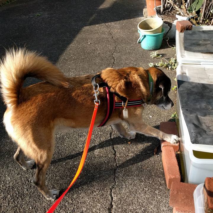 Fed55763 93fd 4063 b84d e51a94356d7c 1510878131016