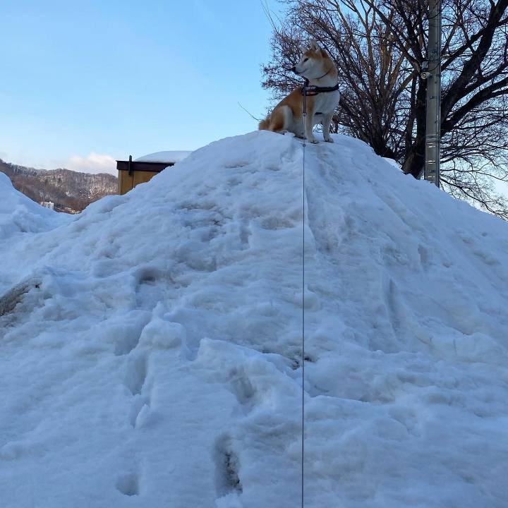 Fed55854 3629 4f43 8898 5e3fb6aa80a1 1611626896005