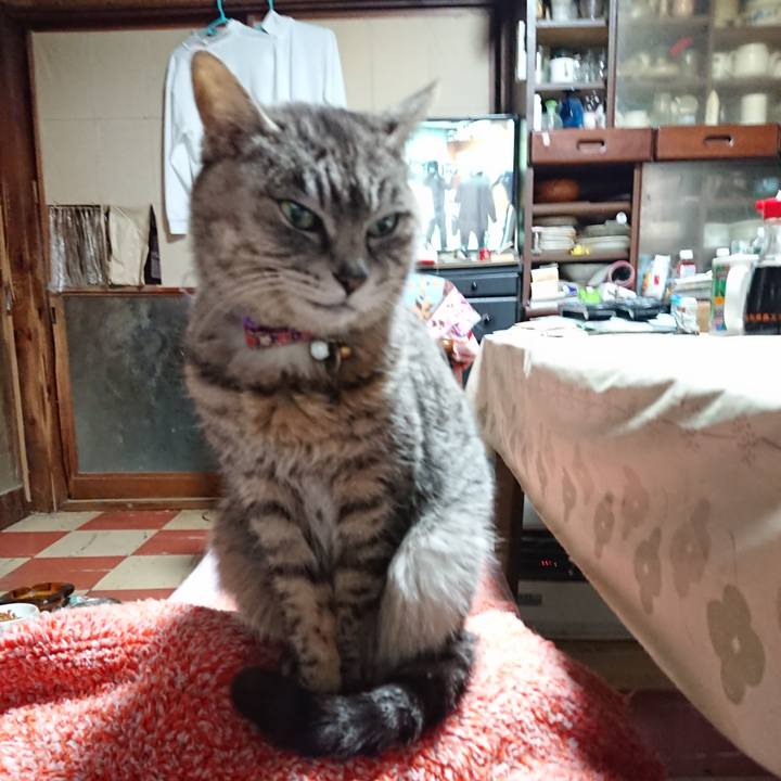 Fed568b8 cdbc 4018 a989 7536b15fd8fd 1584825474601