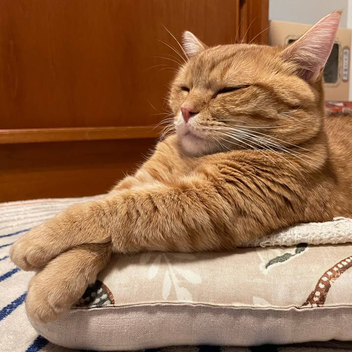 Fed57126 0b3c 42b0 8aca a331f35ca919 1765710046715