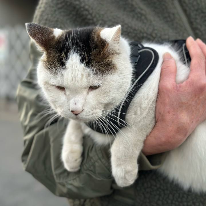 Fed57482 c8cb 45fc 8892 670de6ed6687 1766877001017