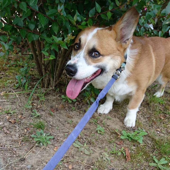 Fed5eeaf b7ae 41f0 afb9 987c6170867a 1590803496708