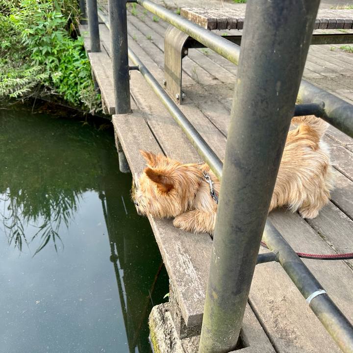 Fed5fe37 9b9b 4030 941a 66be182ee814 1751718644612