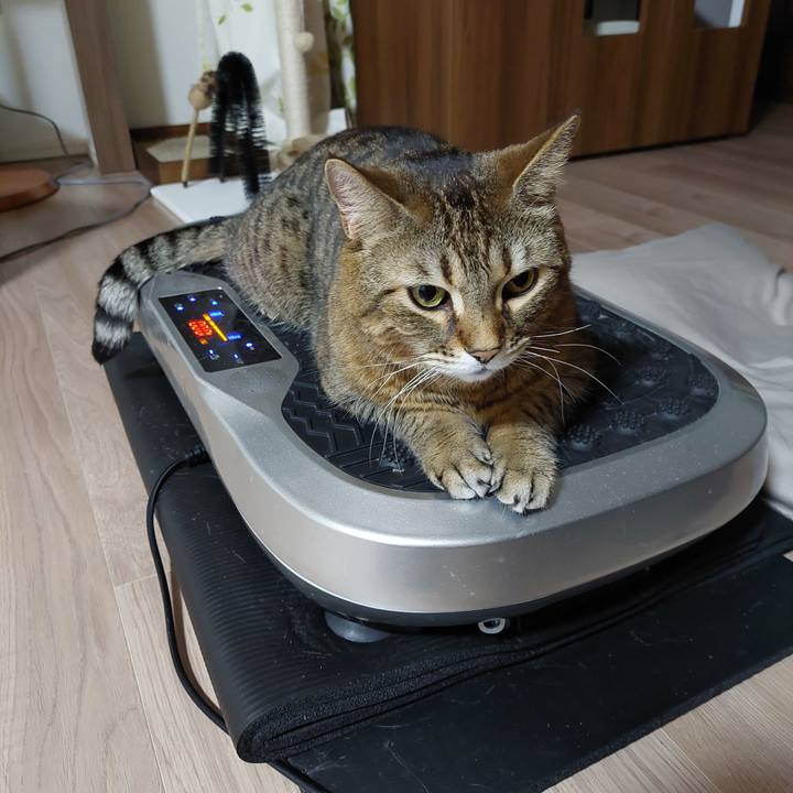 Fed60db8 ec7a 4528 aedd d1b95543c70f 1643924614045