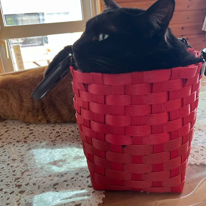 Fed61eb2 2228 42b2 948a e2edb323dd58 1750135410123