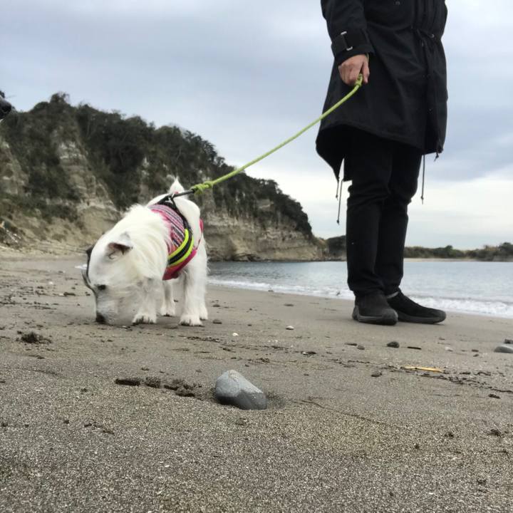 Fed647d3 fbdb 4888 9c2d f005c7ed6f1a 1515390328980