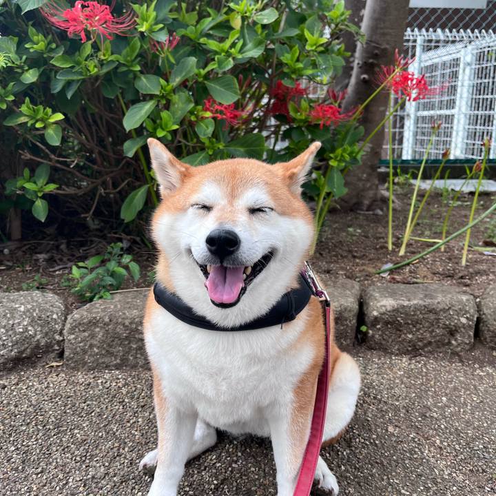 Fed65208 3e60 488b a381 5f0a4153d2c1 1695955901365