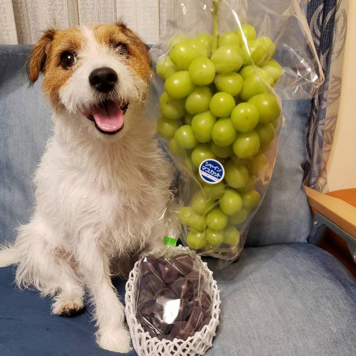 Fed65561 2965 494f b6f9 7480b689bc1b 1631350469726