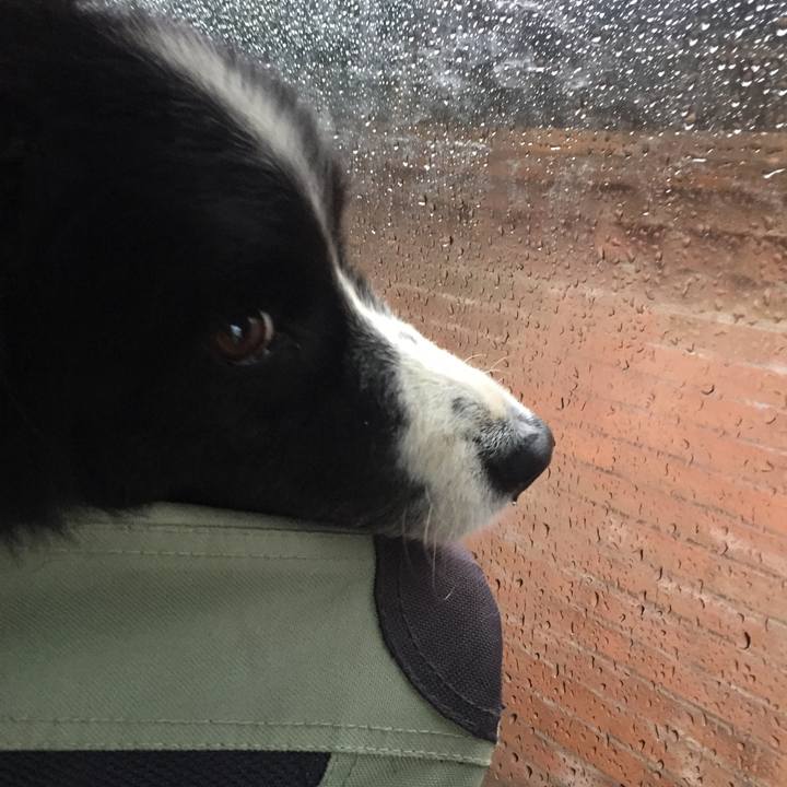 Fed69796 25c8 42d2 86cc 2ea0a2e86d36 1561586949322