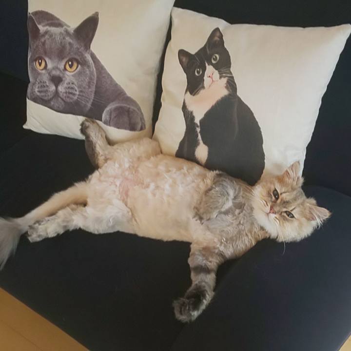 Fed6b4a4 4a88 484b 94ad 0a607dd92d69 1592814300760