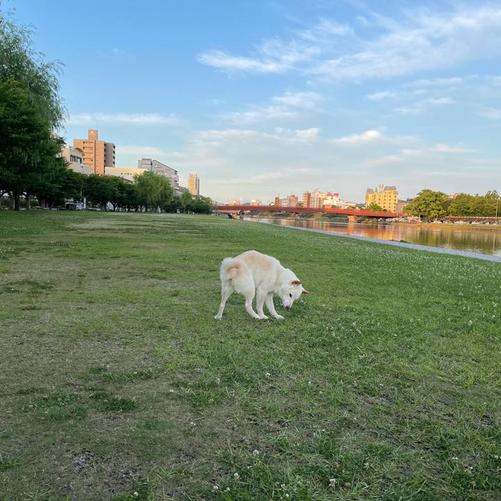 Fed6c51a 59cc 49e4 be90 6211a544f543 1654614021083