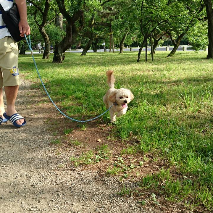 Fed724e6 e0c9 4257 9dca df5d8dac48a9 1529230743103