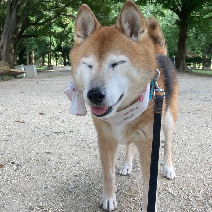 Fed73158 38be 4d5d 8ca5 d1eec7f7e366 1757579381389