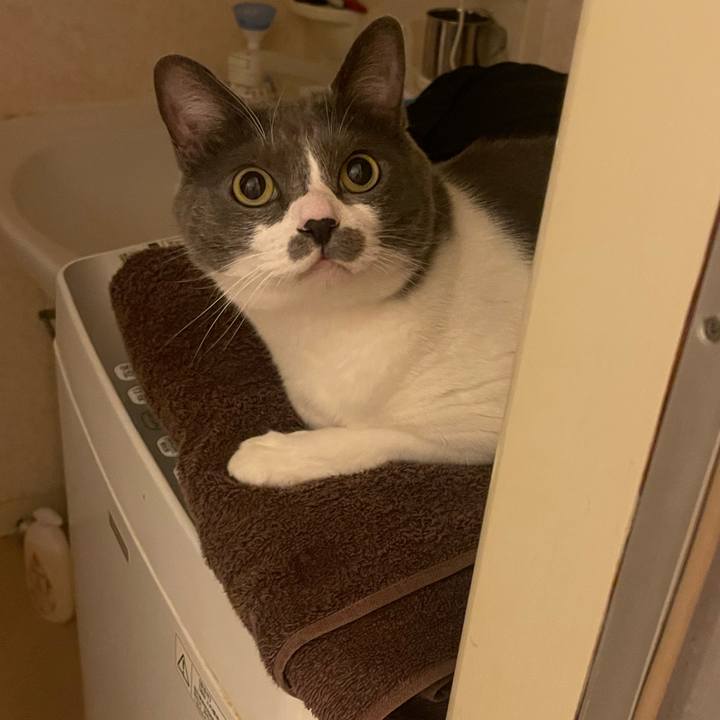 Fed73a51 ea55 45f4 944b ae5ee4987acc 1750172971402