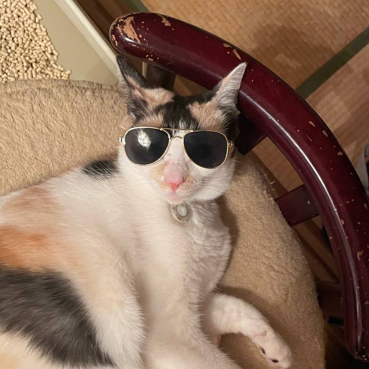 Fed742f3 02c6 4b6b 8cc2 0d9659873c0b 1681307773641