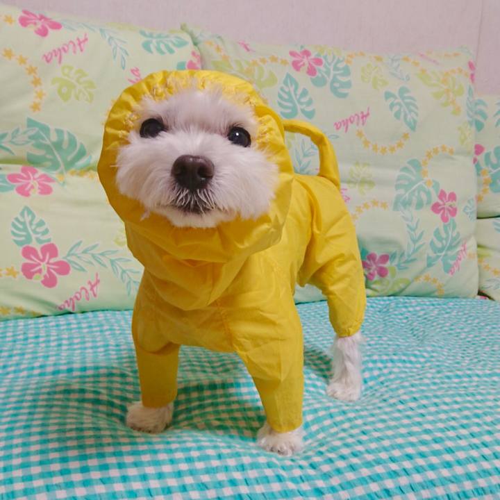 Fed76f2b 8de9 4098 9e00 d26ebcc87590 1528684811257