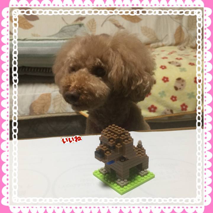 Fed815f9 94b5 4e1e 848c a32bb1da33b0 1536921831561