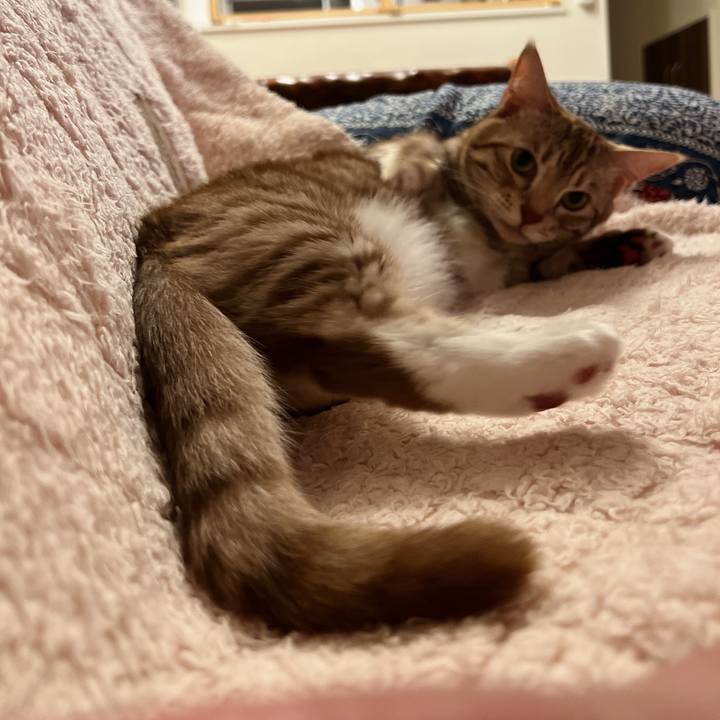 Fed825a0 a868 4642 8b04 142d47e04c4d 1689683003265