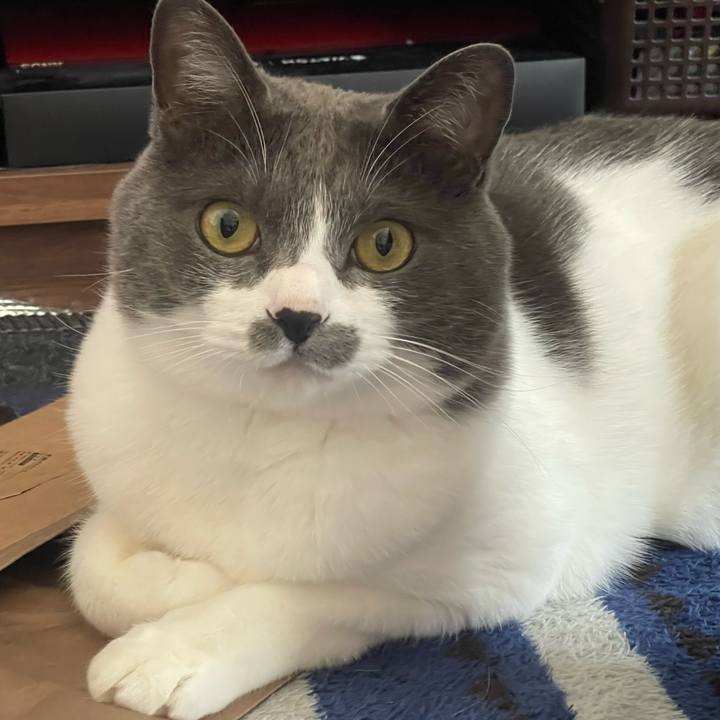 Fed859ec 9be6 413b a3f2 0e158a9640c3 1684581796103