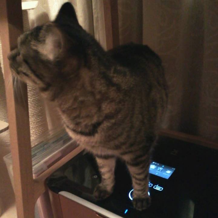 Fed8bae3 68e6 435b a0a3 a3bac9f60b23 1767080153991