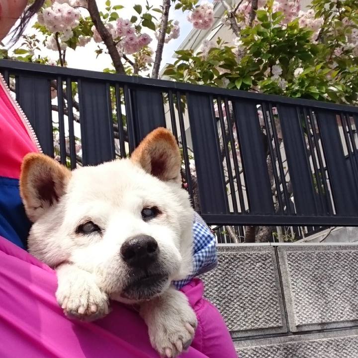 Fed8be48 a46c 42eb 809d b8bf92ffb556 1523153569346