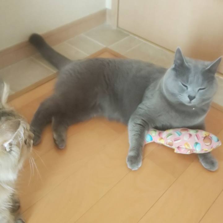 Fed8c44f f810 47c6 a474 69d2727ba7bd 1559007884561