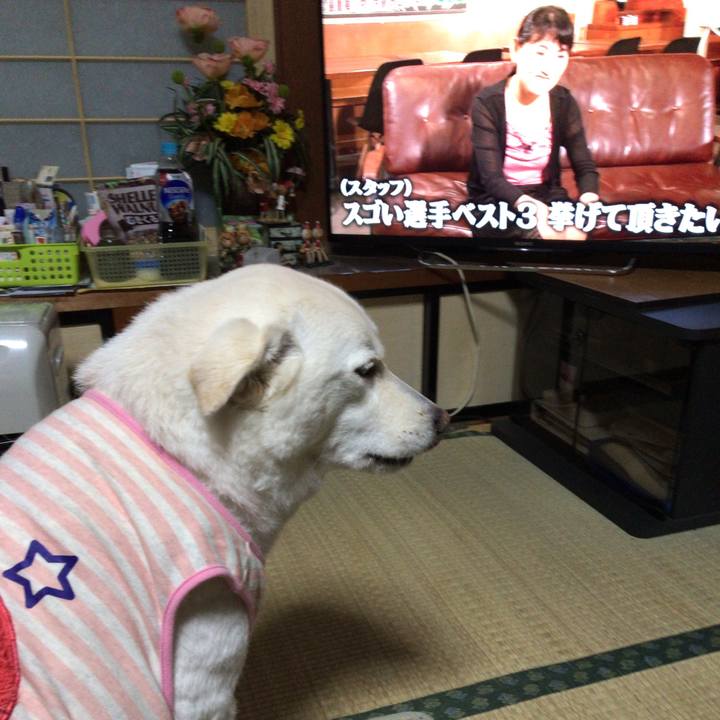 Fed8c9fb 48dc 497c aa91 ba85522b0a8f 1542797820588