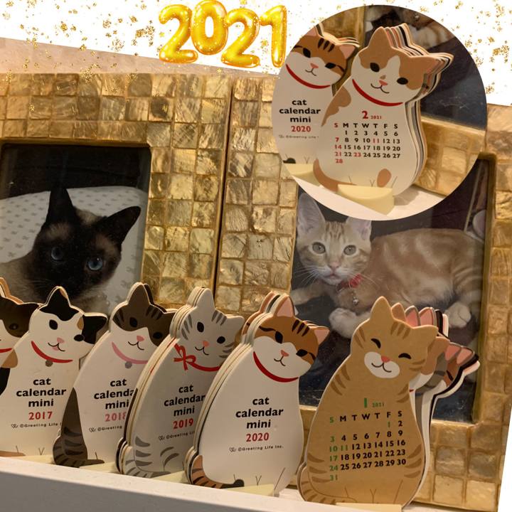 Fed8f7a1 9b79 42fb ac28 7c26b79a89e7 1612130281888