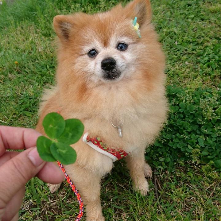 Fed91e4e 4a09 4178 9f25 94c548cc9990 1556662381889