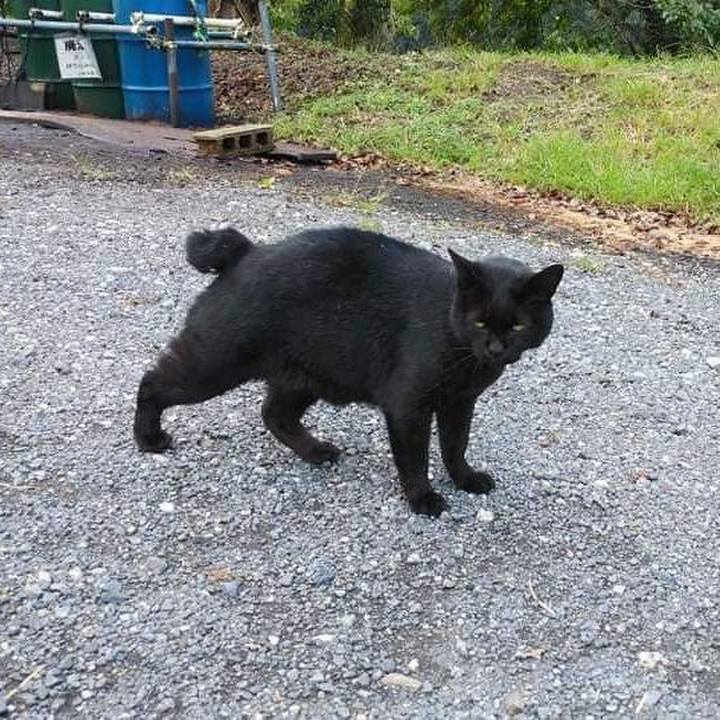 Fed926c1 dbbe 459d a907 76a01a6e723a 1634255400251