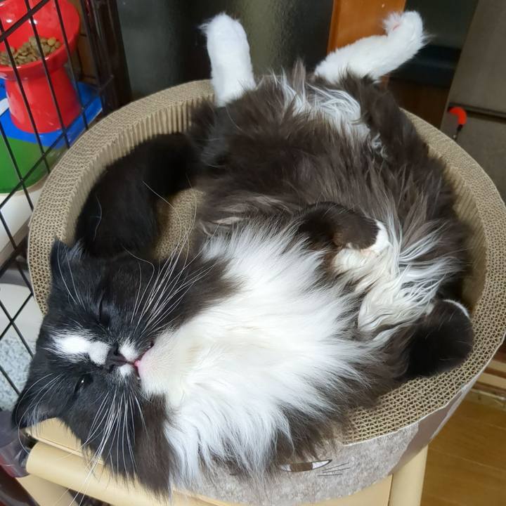 Fed934ed c040 4de7 b15b 3e2f6469b1c8 1685277859892