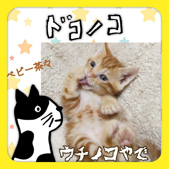 Fed94593 609e 4e81 8412 a00faadc2863 1622865408189