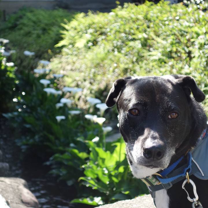 Fed9510d c4e2 44eb b40e 4059507f91d1 1714699451430